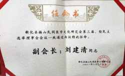 论中风偏瘫三高的调理与康复 作者刘建清字号梅山医痴！