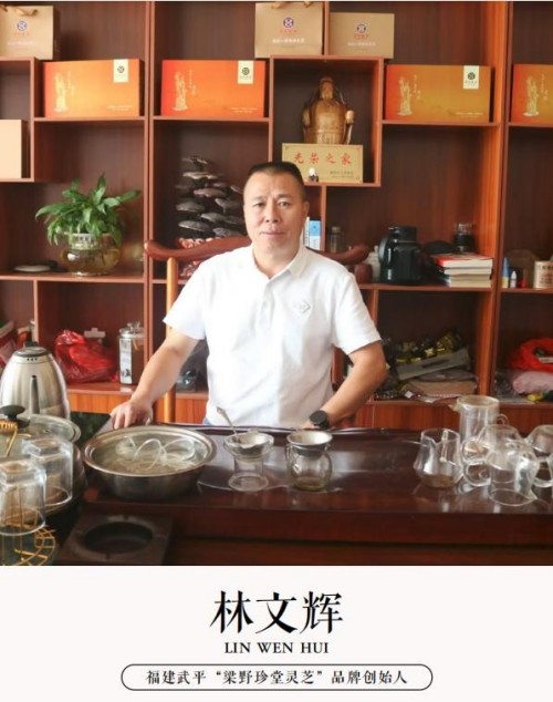 福建武平梁野珍堂林文辉：从退伍军人到中国灵芝文化名片的传递者