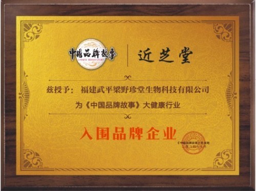 福建武平梁野珍堂林文辉：从退伍军人到中国灵芝文化名片的传递者
