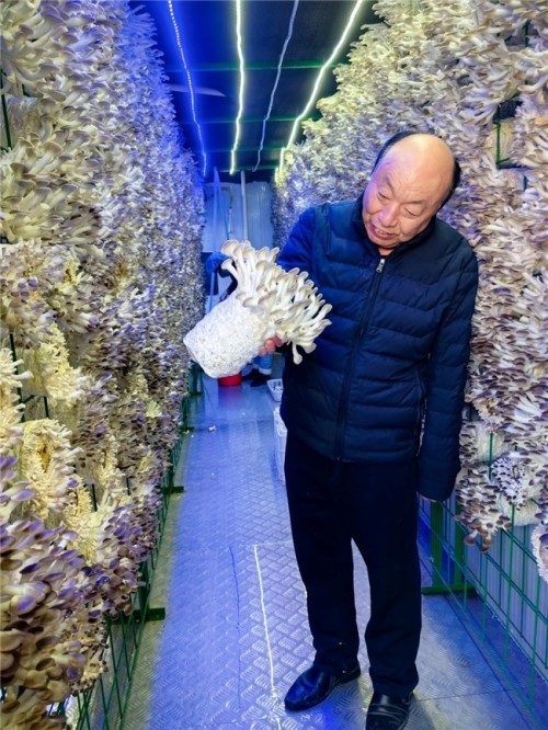 菇香万里铸初心，共富路上担使命---记“蘑菇大王”丁伦保的奋斗征程