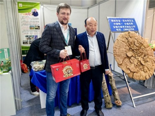 菇香万里铸初心，共富路上担使命---记“蘑菇大王”丁伦保的奋斗征程