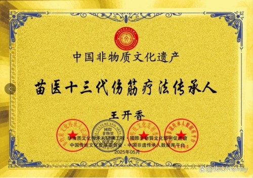 守正创新传瑰宝 苗医济世惠民生 —— 王开香与苗草铺子共筑民族医药新征程