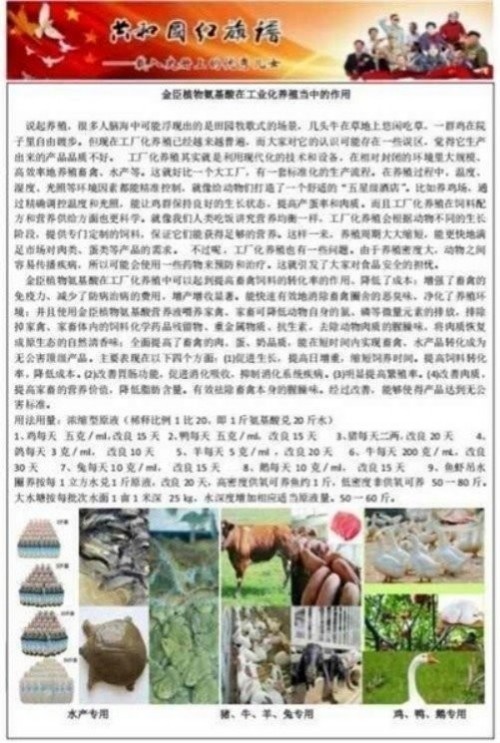 金臣科技：以天然植物氨基酸技术，绘就生态健康新蓝图