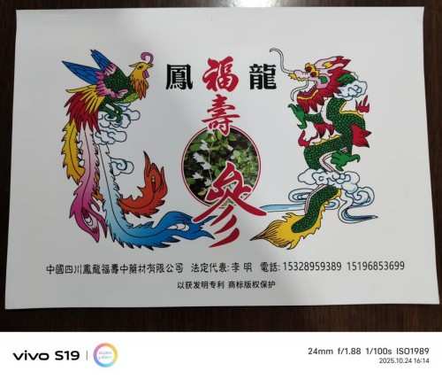 中国著名医学专家 李明与他的龙凤福参传奇