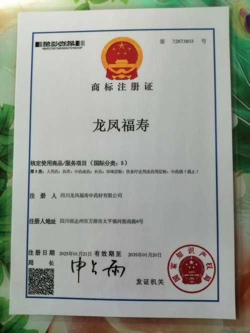 中国著名医学专家 李明与他的龙凤福参传奇