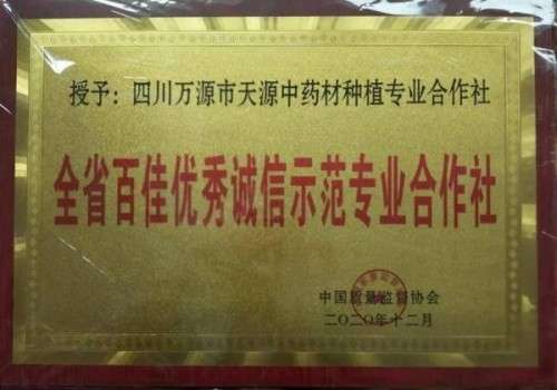 中国著名医学专家 李明与他的龙凤福参传奇