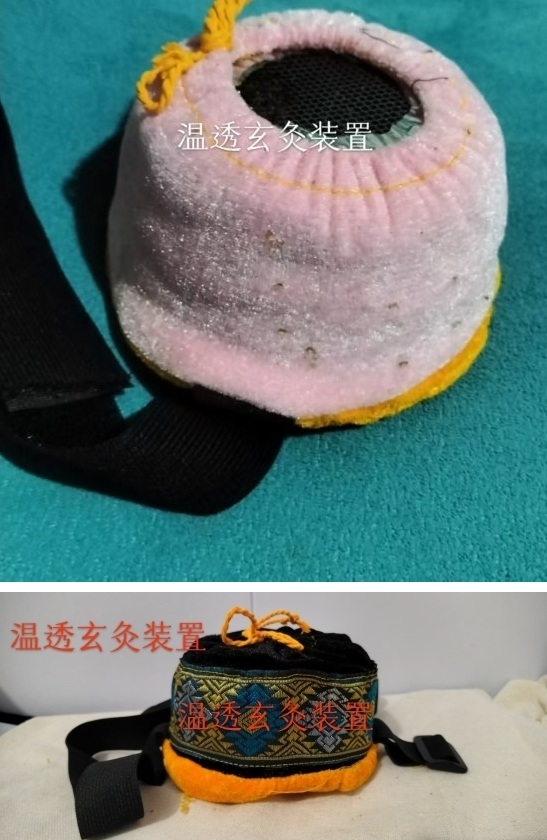 以艾为媒，守护万家健康——张晓凤与她的现代康养之道