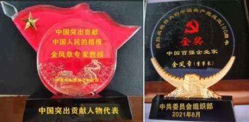 七一功勋先锋金凤章：以科技之笔绘就生态健康新画卷