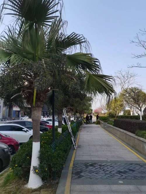 【礼赞八一建军节特别报道】 国宝级中医——吴训明