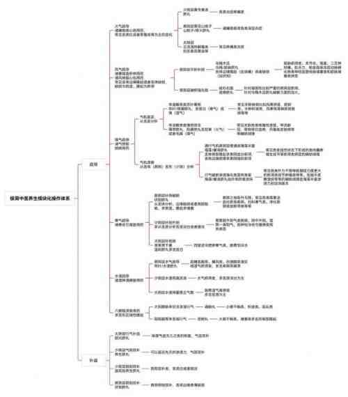 破千年传承之困，立生命医学新篇：王伟清与他的中医秩序革命