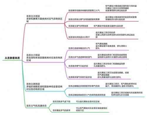 破千年传承之困，立生命医学新篇：王伟清与他的中医秩序革命