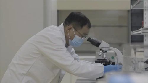 中国科学家双靶点突破领跑全球抗衰老赛道