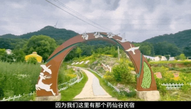 本草润苍生 岐黄济世人：江西非遗中医传承人蔡锦芳的济世之路
