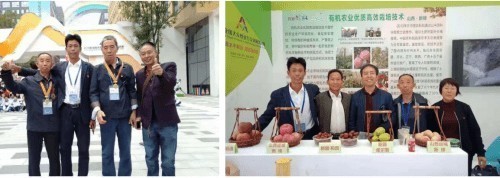 月满绛州·礼赞家国：冯明乐以耕心匠魂镌刻双节里的乡村振兴答卷