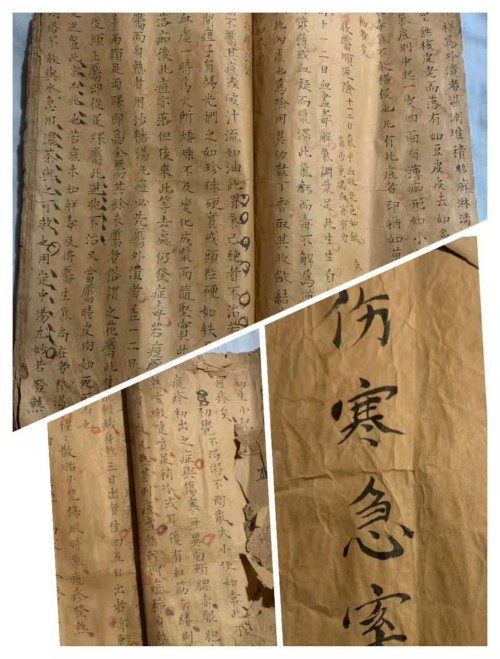 七代薪火守岐黄 记“杨金华头痛贴”第七代传承人崔金金