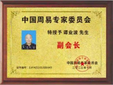 以易为舟，载道而行——谭业波的易学传承之路