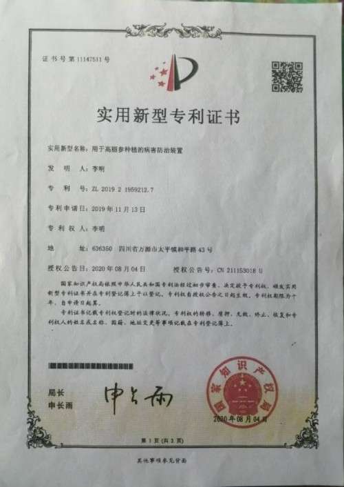 中国著名医学专家李明与他的龙凤福寿参传奇