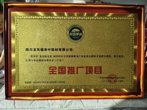 中国著名医学专家李明与他的龙凤福寿参传奇