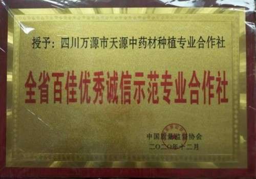 中国著名医学专家李明与他的龙凤福寿参传奇
